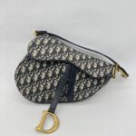 Dior Saddle Medium Canvas Blue Oblique GHW