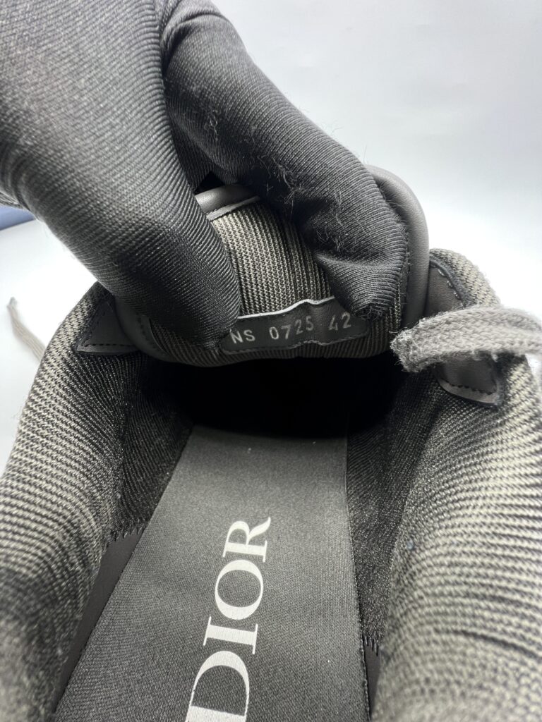 Dior B27 Uptown Low Top Grained Calfskin Gray