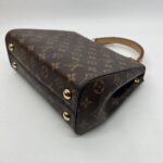 Louis Vuitton Cluny BB Monogram Bordeaux Fuchsia GHW