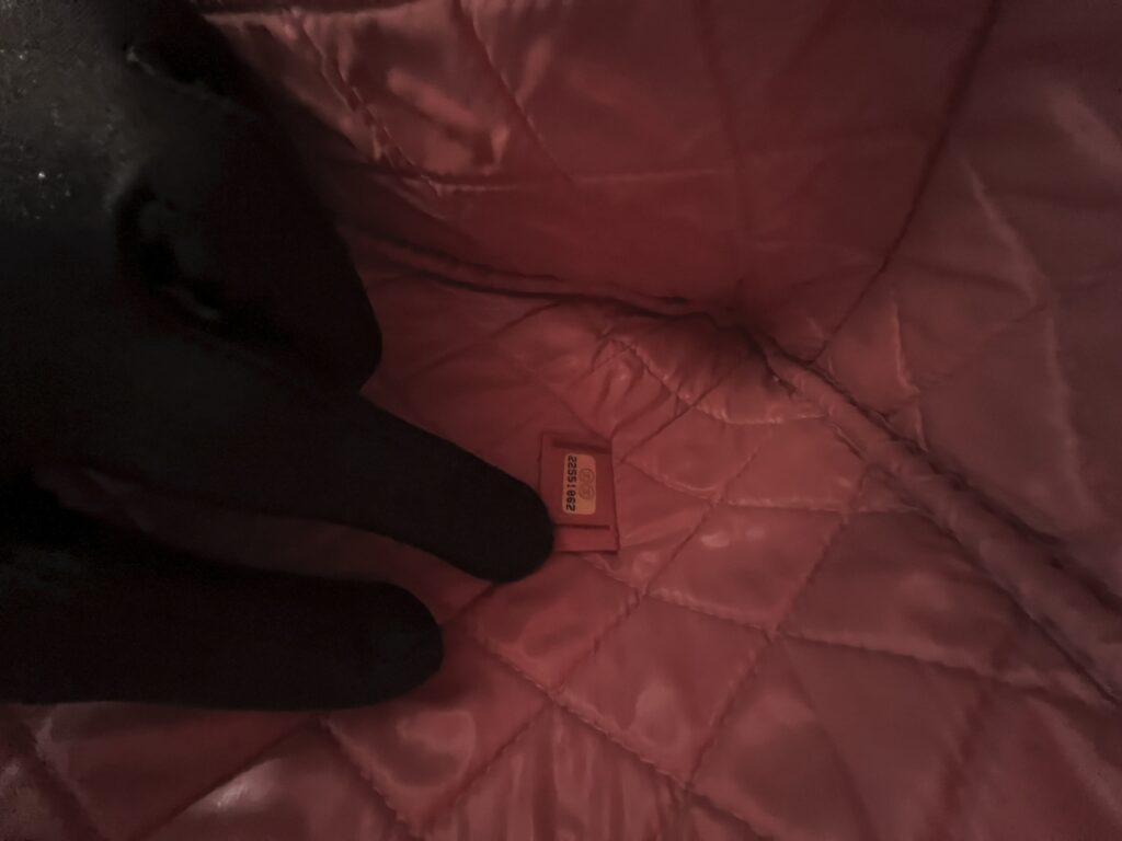 Chanel O Case Leather Pink SHW