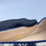Dior Granville Espadrilles Blue Tropical Toile