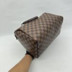 Louis Vuitton Speedy 30 Damier Ebene GHW