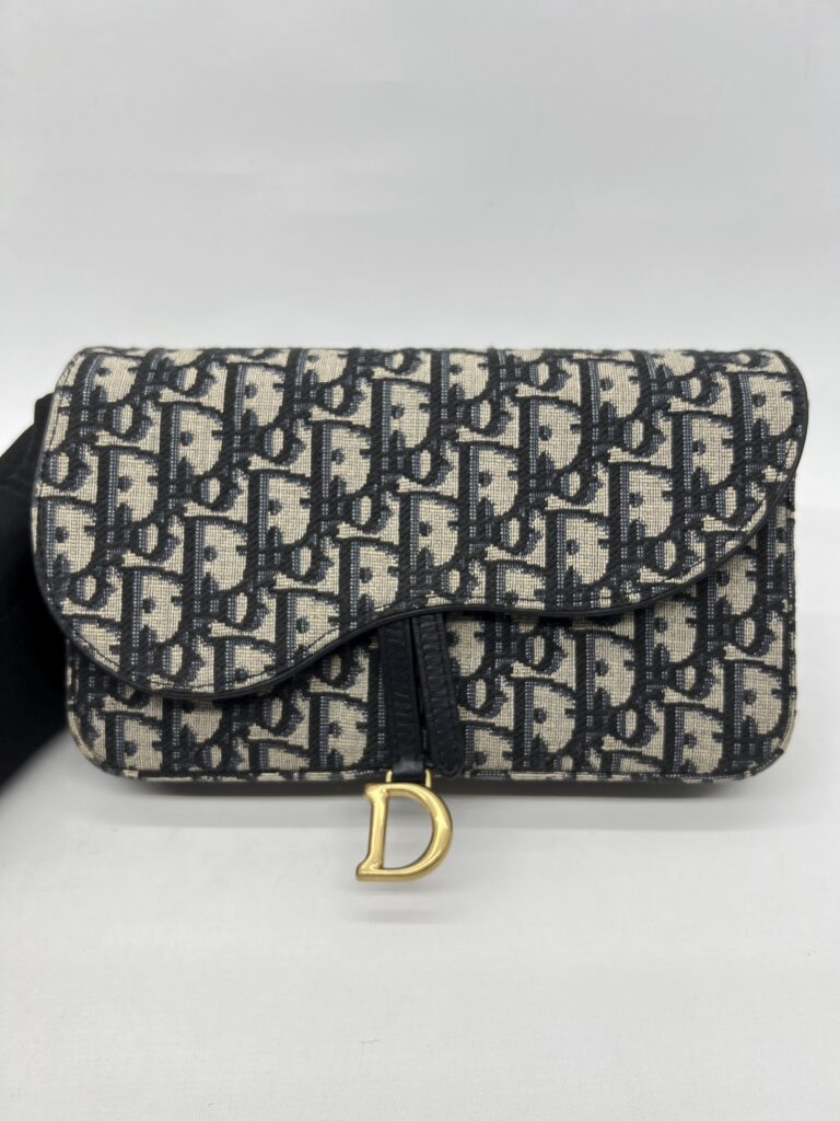 Dior Saddle Pouch With Chain Canvas Blue Oblique GHW