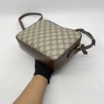Gucci Horsebit Camera GG Supreme Brown GHW