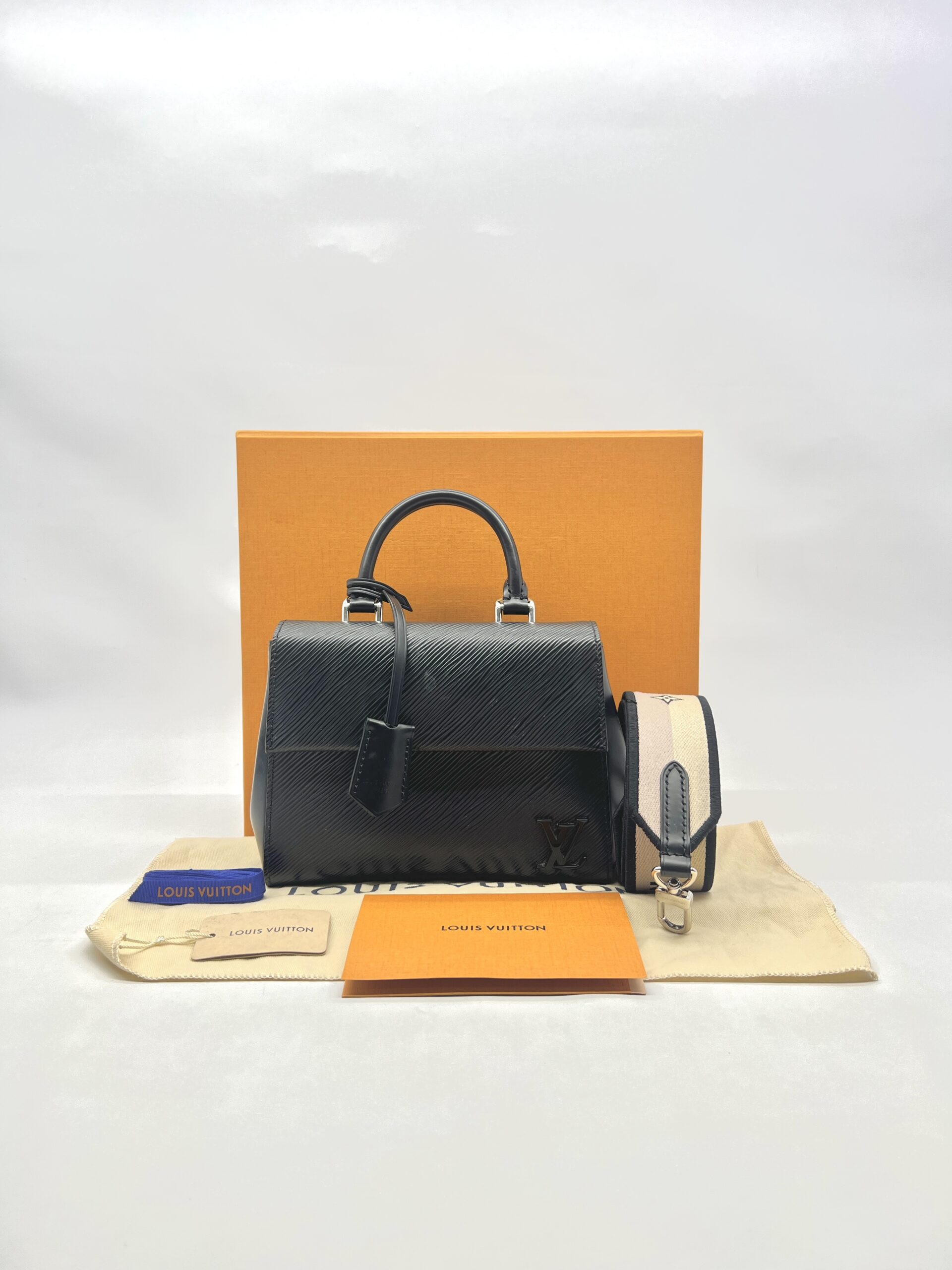 Louis Vuitton Cluny Mini Epi Black SHW