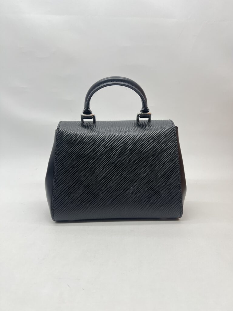 Louis Vuitton Cluny Mini Epi Black SHW
