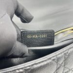 Dior Medium Caro Black GHW