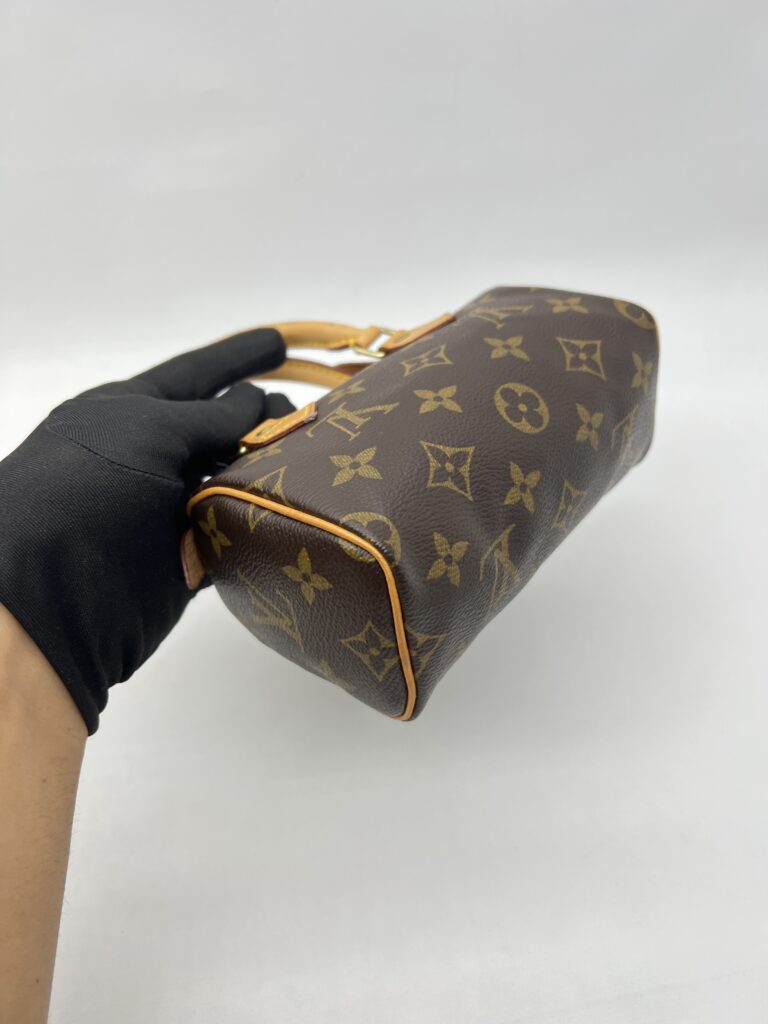 Louis Vuitton Nano Speedy Monogram GHW