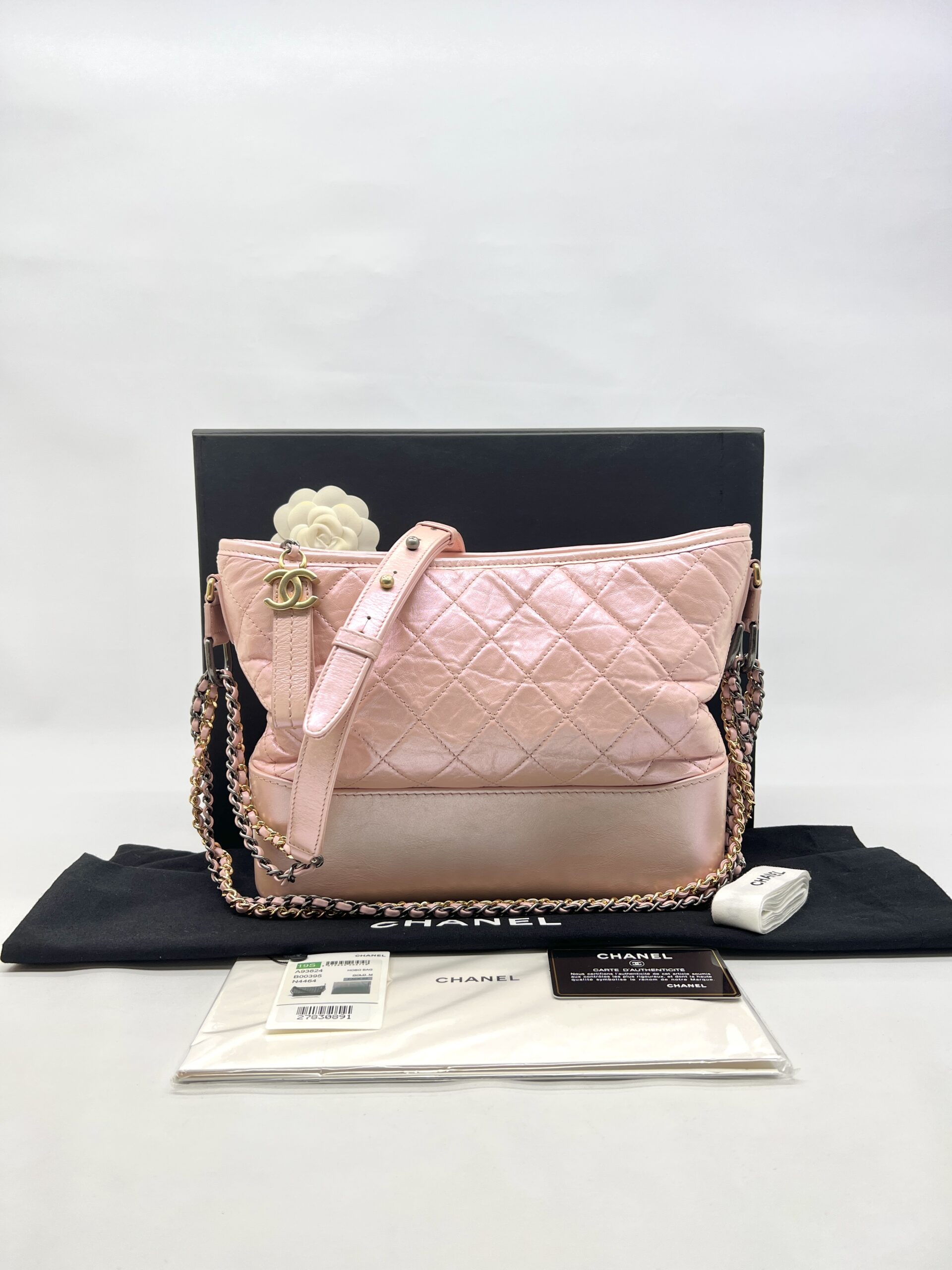 Chanel Gabrielle Medium Iridescent Light Pink