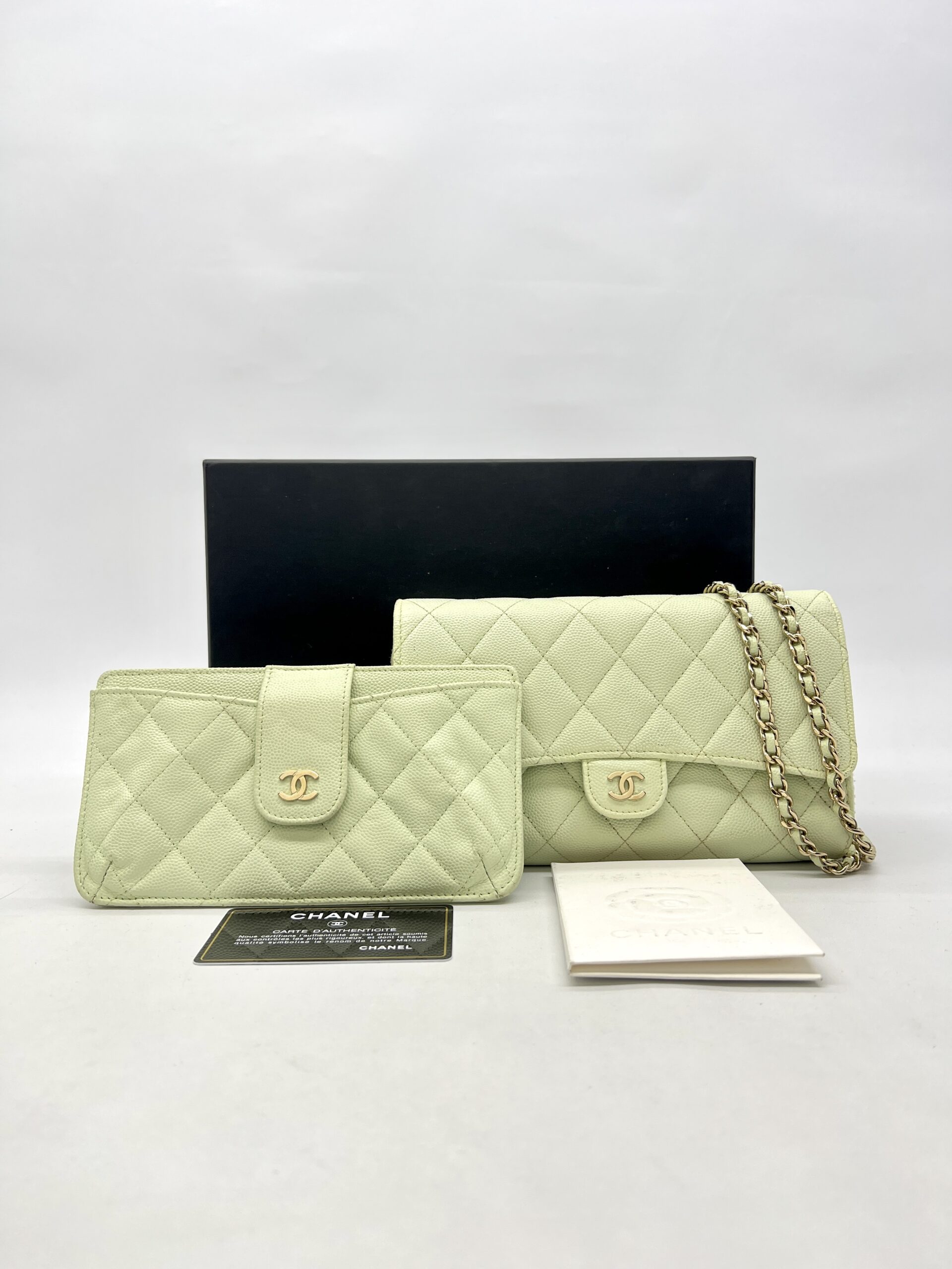 Chanel WOC Caviar Mint Green LGHW