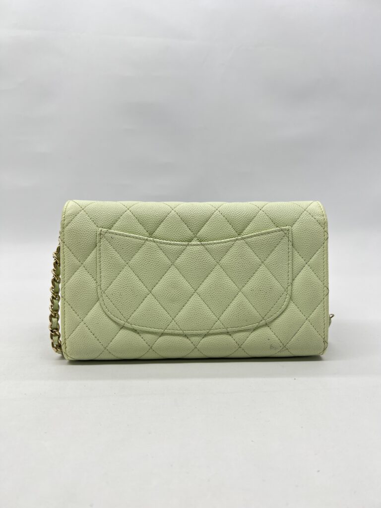 Chanel WOC Caviar Mint Green LGHW