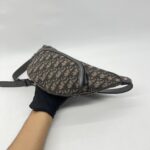 Dior Belt Bag Oblique Brown Grey