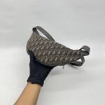 Dior Belt Bag Oblique Brown Grey