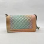 Chanel Boy 25 Caviar Rainbow