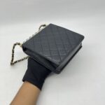 Chanel Chic Pearls Flap Black GHW