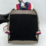 Gucci Bosco Bakpack Cat Supreme Canvas Stripe