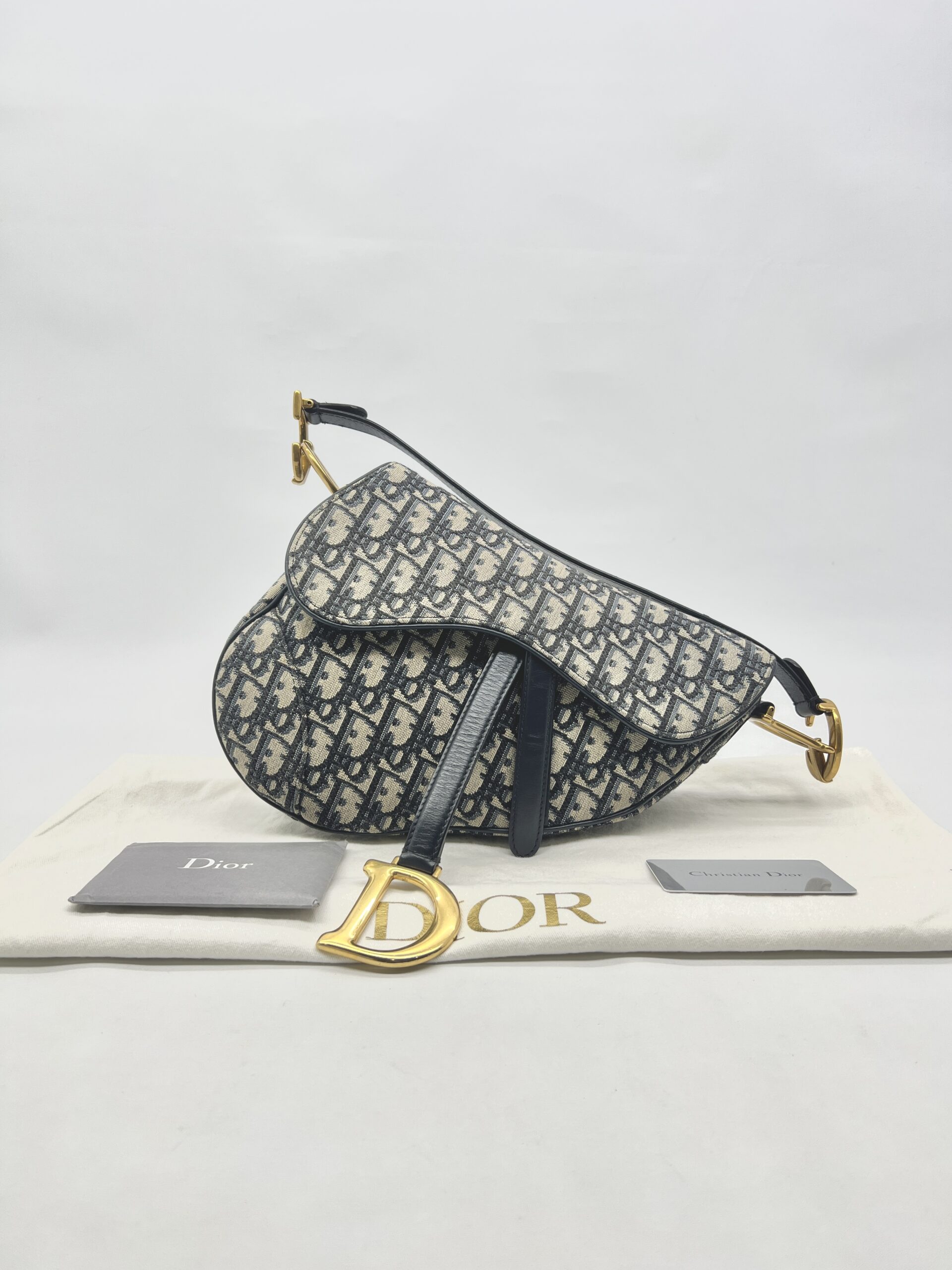 Dior Saddle Medium Canvas Oblique GHW