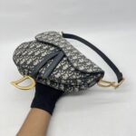 Dior Saddle Medium Canvas Oblique GHW