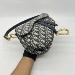 Dior Saddle Medium Canvas Oblique GHW