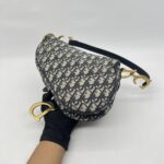 Dior Saddle Medium Canvas Oblique GHW