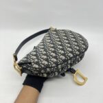 Dior Saddle Medium Canvas Oblique GHW
