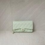 Chanel WOC Caviar Mint Green LGHW