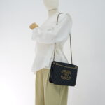 Chanel Accordion Chain Bag Lambskin Black GHW