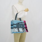 Dior Medium Book Tote Canvas Blue Jungle Pop