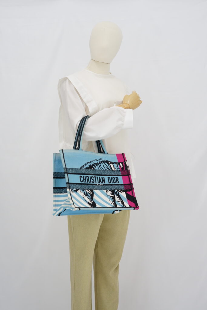 Dior Medium Book Tote Canvas Blue Jungle Pop