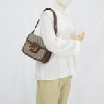 Gucci Horsebit GG Supreme Brown GHW