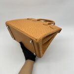Hermes Birkin 30 Ostrich Tabac Camel PHW