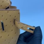 Hermes Birkin 30 Ostrich Tabac Camel PHW
