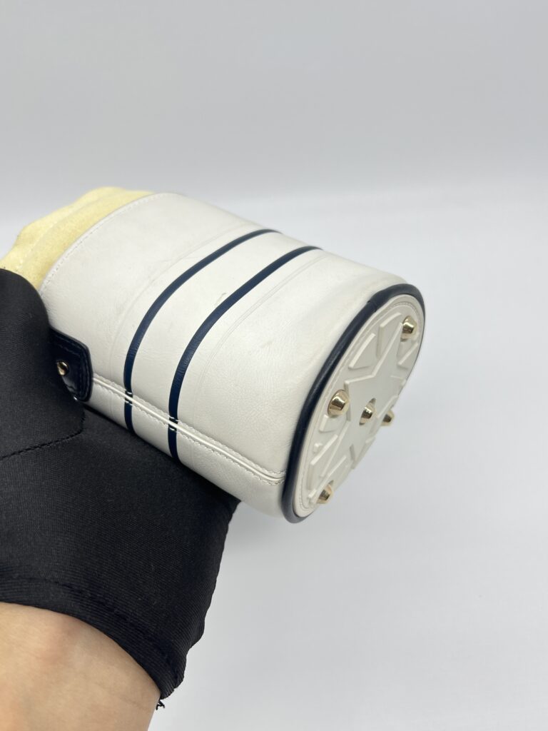 Dior Vibe Bucket White Blue