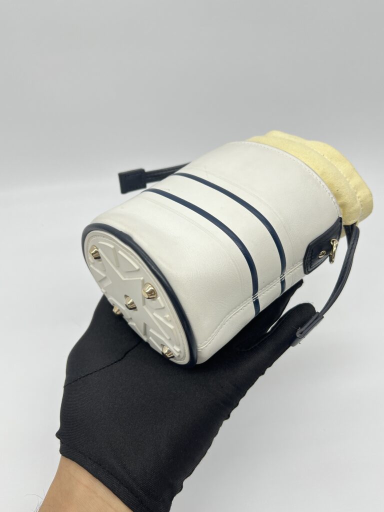 Dior Vibe Bucket White Blue