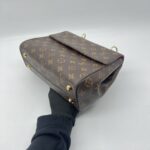 Louis Vuitton Cluny BB Monogram Bordeaux Fuchsia GHW