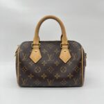 Louis Vuitton Speedy Bandou 20 Monogram