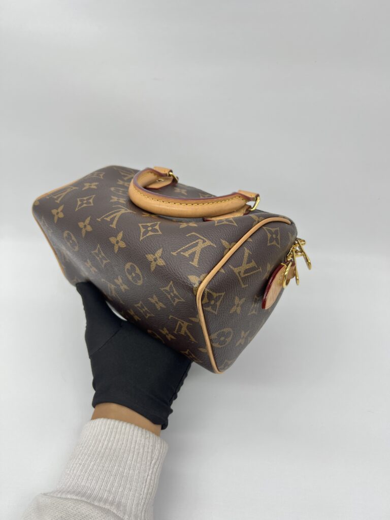 Louis Vuitton Speedy Bandou 20 Monogram