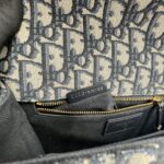 Dior Montaigne 30 Canvas Blue Oblique