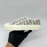 Dior Walk N Dior Sneakers Oblique Stoned Gray
