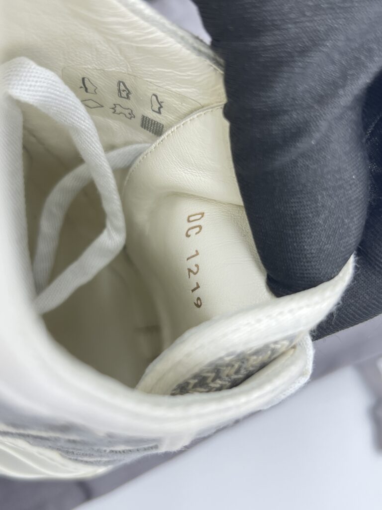 Dior Walk N Dior Sneakers Oblique Stoned Gray