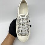 Dior Walk N Dior Sneakers Oblique Stoned Gray