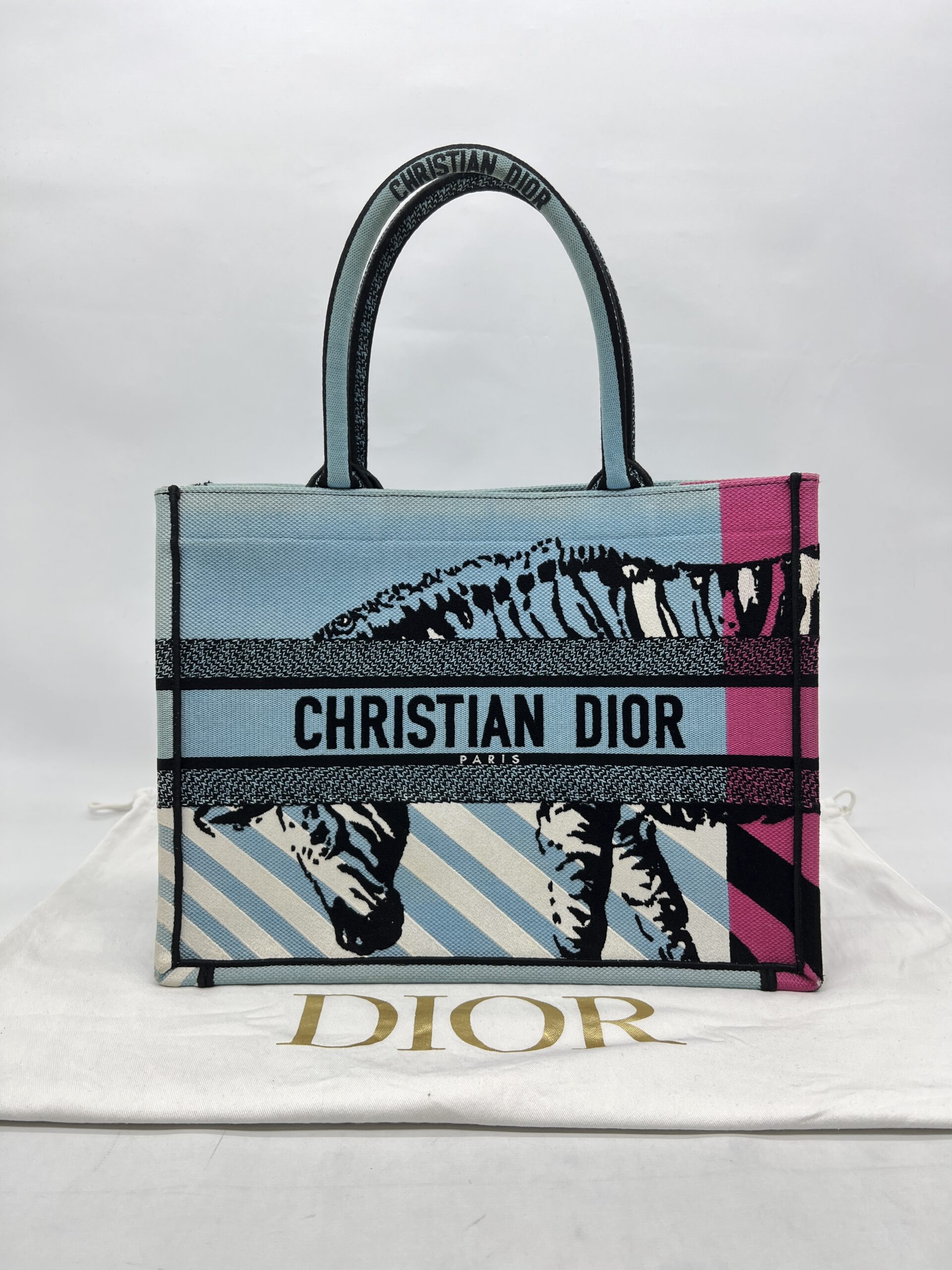 Dior Medium Book Tote Canvas Blue Jungle Pop