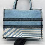 Dior Medium Book Tote Canvas Blue Jungle Pop