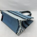 Dior Medium Book Tote Canvas Blue Jungle Pop