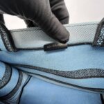 Dior Medium Book Tote Canvas Blue Jungle Pop