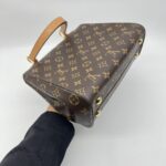 Louis Vuitton Cluny BB Monogram Fuchsia GHW