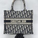 Dior Small Dior Book Tote Blue Oblique