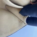 Louis Vuitton Pochette Twin GM