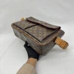 Louis Vuitton Viva Cite Monogram Red
