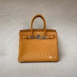 Hermes Birkin 30 Ostrich Tabac Camel PHW